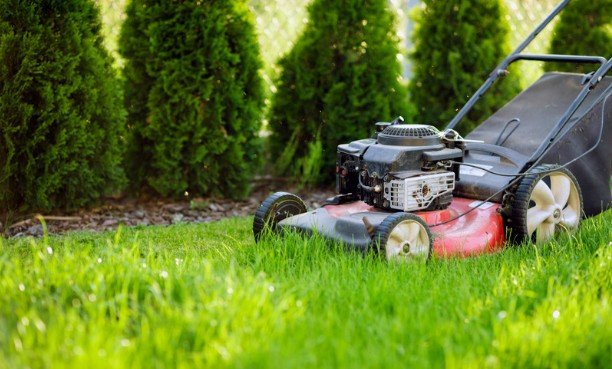 The Smartest Utah Lawn Programs Are Built for Prevention, Not Rescue