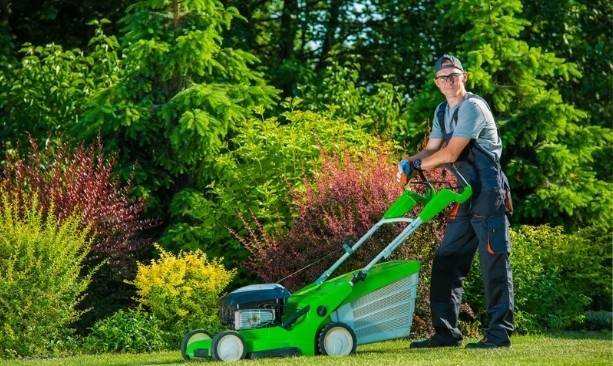 What-a-Professional-Lawn-Maintenance-Program-Should-Include-in-Utah