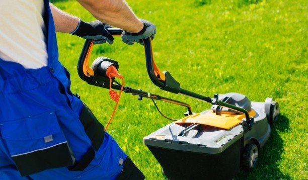 Why Utah Lawns Need a Different Kind of Maintenance Plan