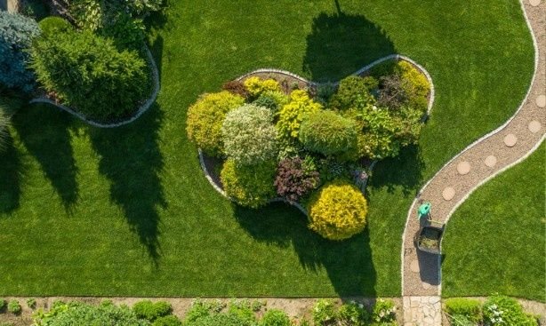Why-Weed-Control-and-Pre-Emergent-Need-to-Work-Together